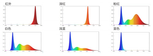 尊龙凯时-人生就是搏中国官方网站