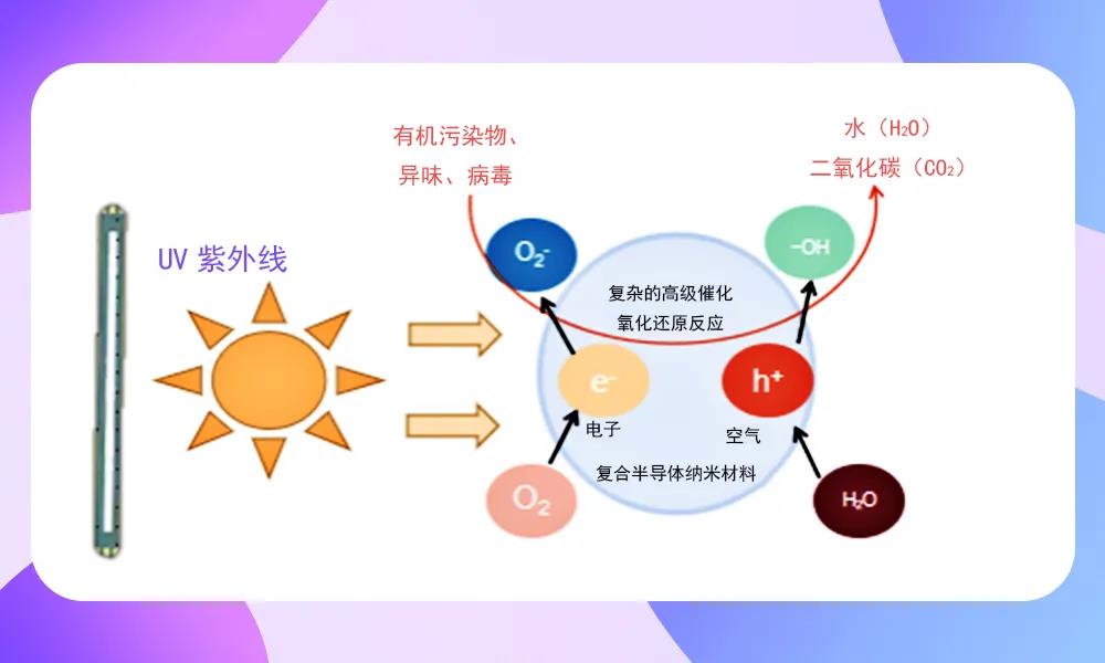 尊龙凯时-人生就是搏中国官方网站